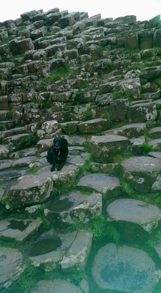Dunseverick Ramblers Rest بوشميلس المظهر الخارجي الصورة